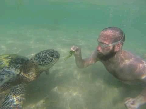 Sunset Surfing Beach Resort Matara Bagian luar foto